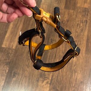 Black and Gold Pet Harness